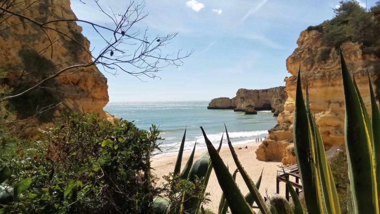 Apartamento Sea View