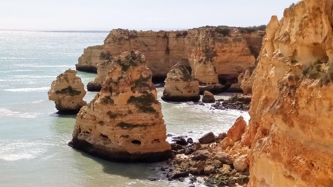Apartamento Sea View *